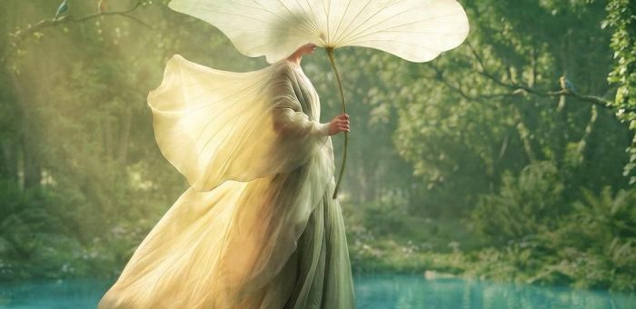 WhatsApp Image 2026-03-23 at 6.50.45 AM